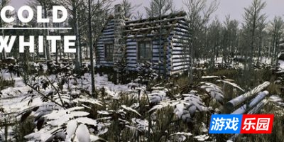 冷白|官方中文|支持手柄|The Cold White