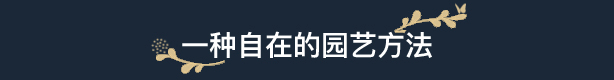 花园生涯:模拟佛系生活 (更新v1028)