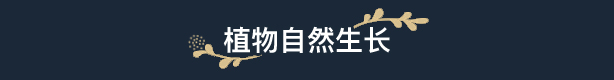 花园生涯:模拟佛系生活 (更新v1028)