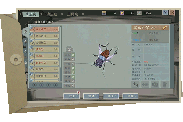 沉默的蟋蟀