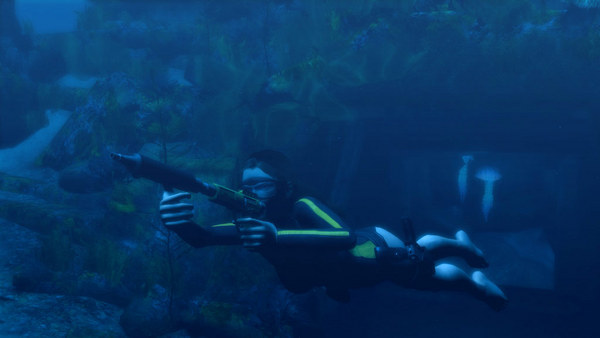 古墓丽影8:地下世界|简中汉化|支持手柄|赠存档|Tomb Raider: Underworld|赠古墓丽影1/2/3/4/5/6/7历代