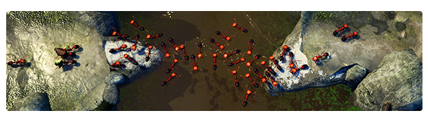 地下蚁国/Empires of the Undergrowth（更新v1.000022）