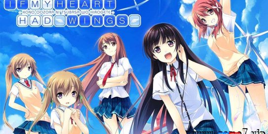 【Switch】在这苍穹展翅丨IF MY HEART HAD WINGS