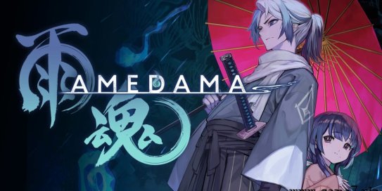 【Switch】雨魂丨AMEDAMA