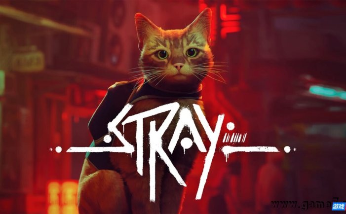 【Switch】流浪猫丨Stray