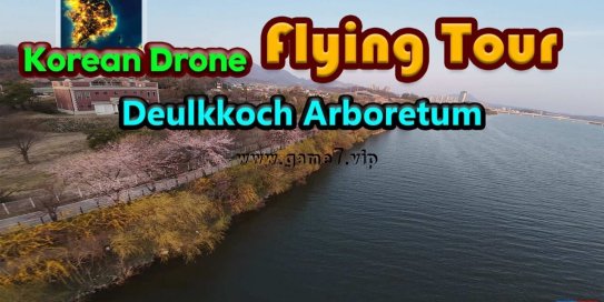 【Switch】韩国无人机飞行游览野花树木园丨Korean Drone Flying Tour Deulkkoch Arboretum
