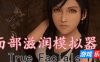 面部滋润模拟器/True Facials Pro|生肉
