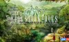 【Switch】仙界传说：北方故土丨Celestian Tales