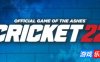 板球22|支持手柄|Cricket 22