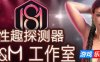 性趣探测器: S&M 工作室|STEAM官中