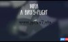 【Switch】米拉：鸟儿的飞行丨Mira A Birds Flight