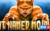 莫哈维之猫|官方中文|Cat Named Mojave