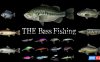 【Switch】巴斯钓鱼丨THE Bass Fishing