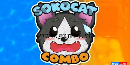 【Switch】Sokocat – Combo