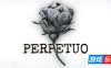 永久|官方中文|支持手柄|Perpetuo
