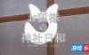 狐仙神社的悠闲时光 — Shrine Fox Days —