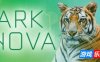 方舟动物园|v20260125|官方中文|支持手柄|Ark Nova