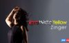 【Switch】赤白黄色丨Red White Yellow Zinger