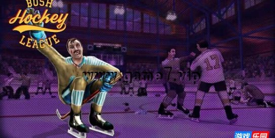 【Switch】布什曲棍球联盟丨Bush Hockey League