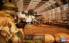 【Switch】反三角洲部队：枪林弹雨 Counter Delta The Bullet Rain