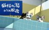 【Switch】逃离澡堂的猫 Escape from the cat’s hot water 猫様の湯からの脱出