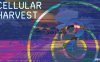 【Switch】细胞收获 Cellular Harvest