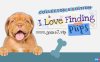 【Switch】我爱找小狗：典藏版 I Love Finding Pups – Collectors Edition